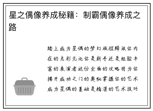 星之偶像养成秘籍：制霸偶像养成之路